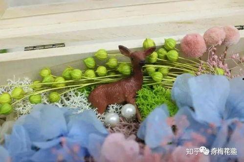 插花盒视频,跟随插花盒视频，解锁家居美学新境界