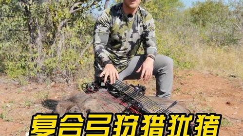 狩猎视频,揭秘野生动物捕猎现场