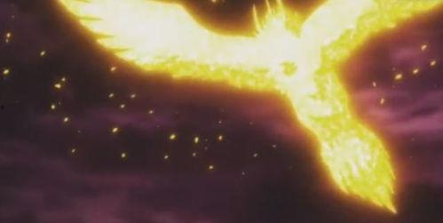 神龙出现视频,震撼视频揭秘传奇生物之谜