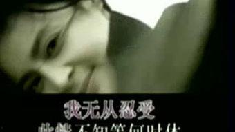 望歌曲视频,穿越时空的旋律之旅