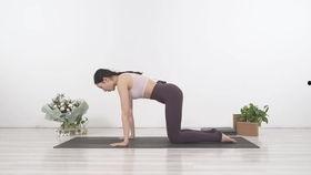 瑜伽课程教学视频教程,轻松入门，循序渐进的身心修炼之旅