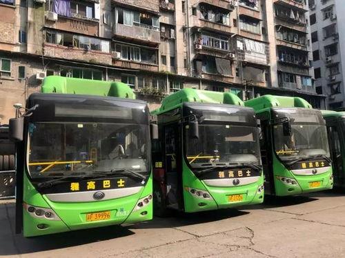 万州公交车视频,悲剧瞬间与人性拷问