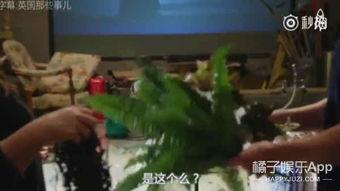 电视剧中打屁股的视频,情感纠葛下的身体惩罚