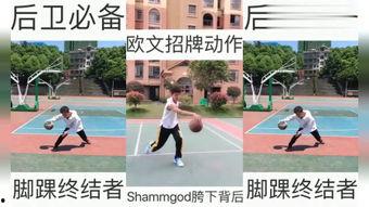 篮球的教学视频,技巧与策略一网打尽