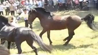 斗马比赛视频全部,激战正酣，热血沸腾的瞬间回顾