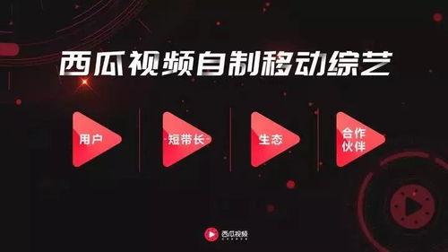 40视频,揭秘生活小妙招