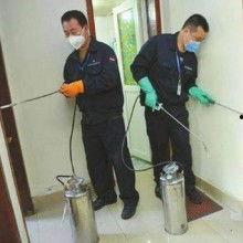 灭老鼠的视频,揭秘视频中的实用灭鼠技巧