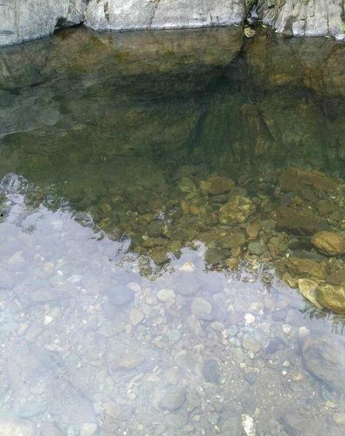 山沟钓鱼视频,探寻自然之美与宁静时光