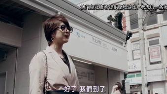 岛国午夜视频,揭秘神秘视频背后的故事