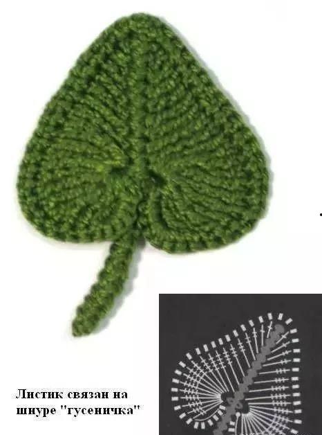 牵牛花的钩法视频,轻松捕捉美丽瞬间