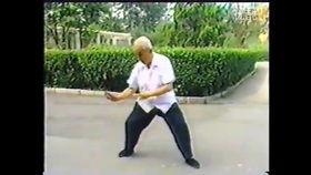 洪均生太极拳一路视频,传承经典，展现太极拳之美