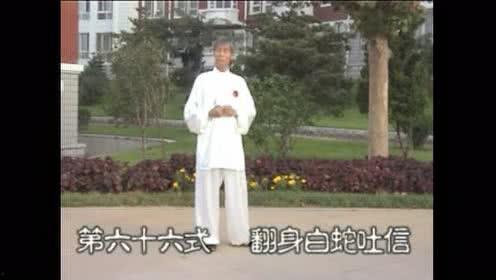 85式杨式太极拳视频,传承经典，领略太极拳之美