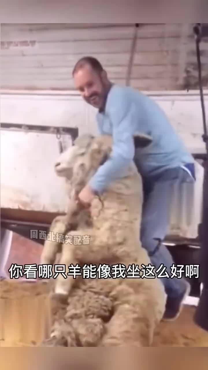 视频割掉头,视频割头奇观揭秘