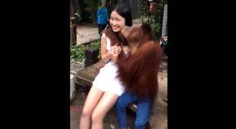 欧美胖女人视频,自信与美丽的独特诠释