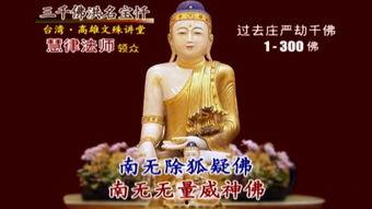 三千佛忏全部视频,一场心灵的净化之旅