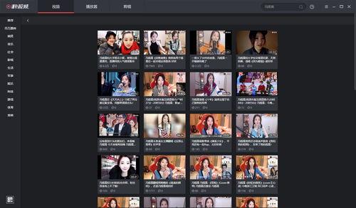 B视频,揭秘XX领域的创新与突破