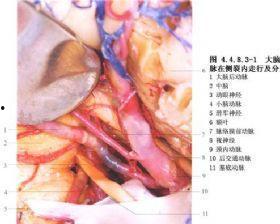 颞浅动脉旁注射视频,颞浅动脉旁注射操作步骤及要点解析