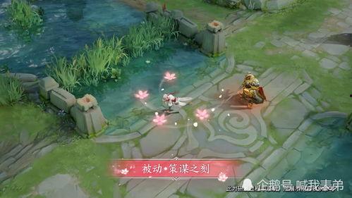 武陵视频,视频中的自然奇观与人文风情